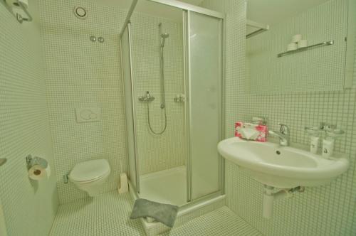 a bathroom with a shower and a sink and a toilet at Haus Arola, Apartment Hirle in Zermatt