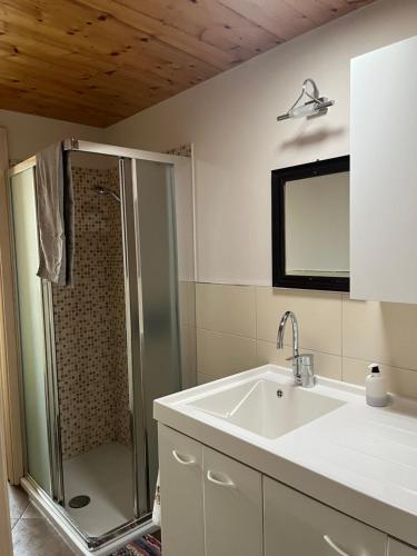 Casa Vecchia, ma Moderna في Villar Perosa: حمام مع دش ومغسلة بيضاء