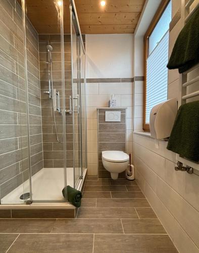 a bathroom with a toilet and a glass shower at Pension Bavaria in Mittenwald