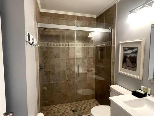 a bathroom with a shower and a toilet and a sink at Beachin It!-Oceanview Updated 2024, King Bed Bikes in Hilton Head Island
