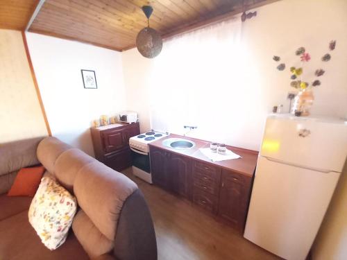 a kitchen with a couch and a sink and a refrigerator at Etno House Mira in Virpazar