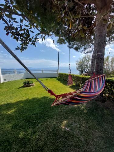 a hammock hanging from a tree in a yard at Platanidia Apartment Pelion in Platanidia