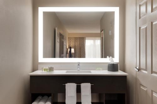 a bathroom with a sink and a large mirror at Holiday Inn Hotel & Suites Council Bluffs, an IHG Hotel in Council Bluffs