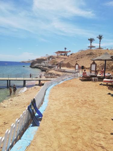 a sandy beach with a white fence and the ocean at Chalet NEMO, vista mare, Sharks Bay, Sharm el Sheikh in Sharm El Sheikh