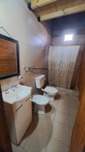 uma casa de banho com um lavatório, um WC e um chuveiro em Los Tronquitos em Santa Rosa de Calamuchita