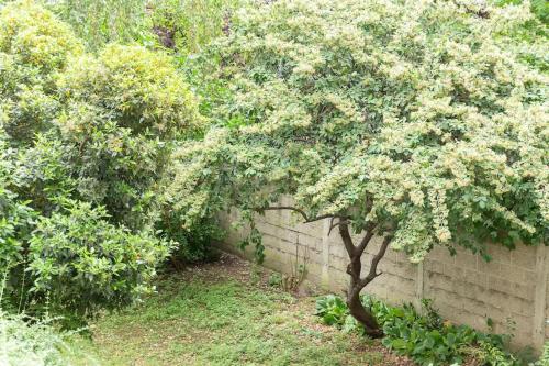 Un jardín fuera de Cosy bleu proche arena JO (Bercy), RER C, métro 7