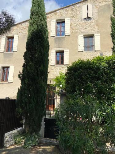 un grand arbre devant un bâtiment dans l'établissement Le Petit Jardin, à Sablet