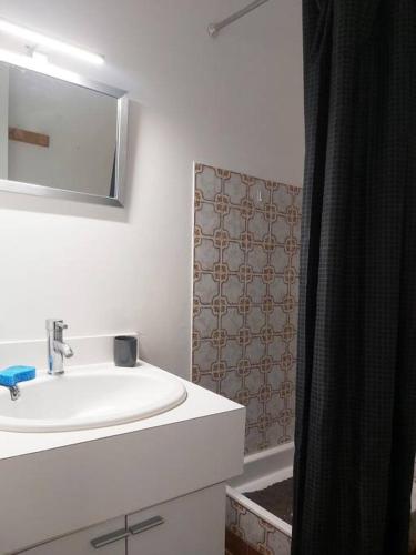 une salle de bain avec un lavabo et un rideau de douche dans l'établissement Nouveau! Studio centre-ville au calme, à La Grande Motte