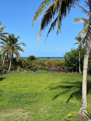 a green field with palm trees and the ocean at Silversands Retreat SA in Corn Island