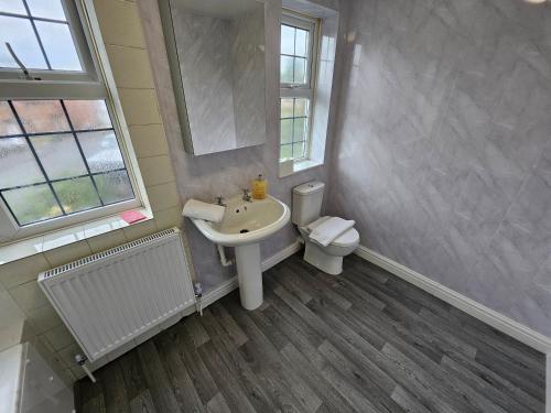 a bathroom with a sink and a toilet at Brunswick Park Shared House in Wednesbury