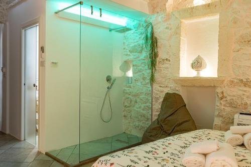 Cette chambre comprend un lit et une salle de bains pourvue d'une douche. dans l'établissement Luxury Suite Of Ostuni, à Ostuni