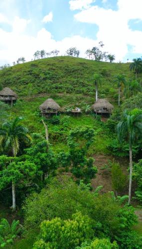 a grassy hill with huts on it with palm trees at Rancho Romana Treehouse F04 in El Limón