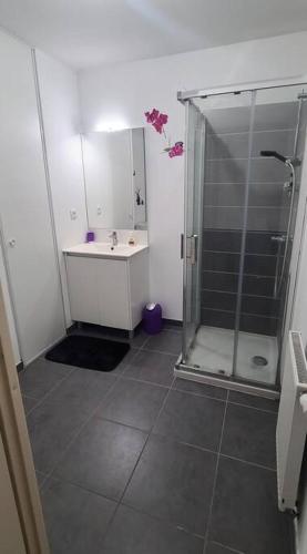 bagno con doccia e lavandino di Grand Studio proche Montpellier a Castelnau-le-Lez