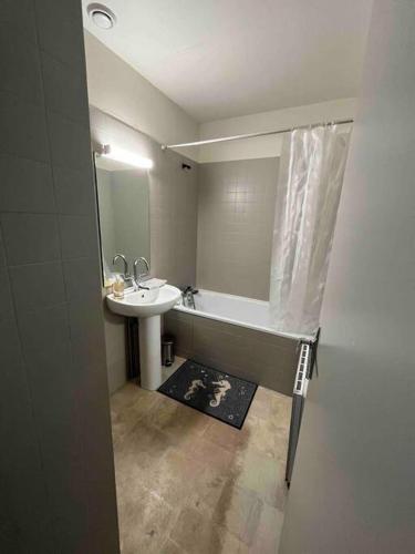 une salle de bain avec un lavabo et une baignoire dans l'établissement Studio centre ville, à Bar-le-Duc