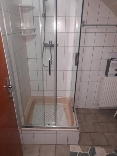 La salle de bains est pourvue d'une douche avec une porte en verre. dans l'établissement Penzion Krušnohorka, à Tatrovice