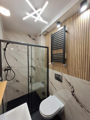 a bathroom with a shower and a toilet and a sink at Willa Park Międzyzdroje in Międzyzdroje