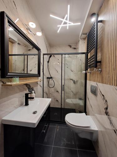 a bathroom with a toilet and a sink and a shower at Willa Park Międzyzdroje in Międzyzdroje