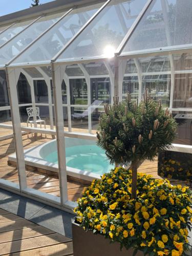 a greenhouse with a pool and a tree in it at 11 Pine View in Ķesterciems