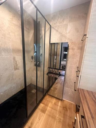 La salle de bains est pourvue d'une douche en verre et de parquet. dans l'établissement Jardin des plantes parking securise terrasse et ascenseur, à Toulouse