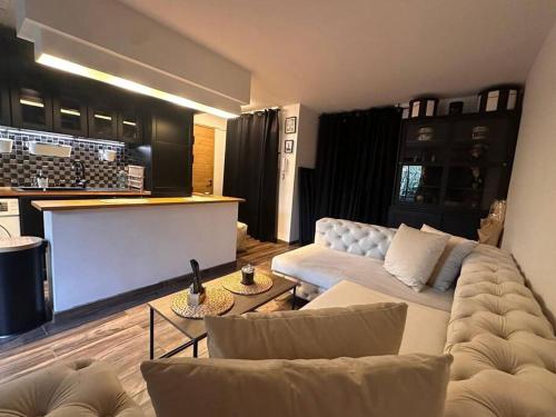 un salon avec un canapé et une table dans l'établissement Jardin des plantes parking securise terrasse et ascenseur, à Toulouse