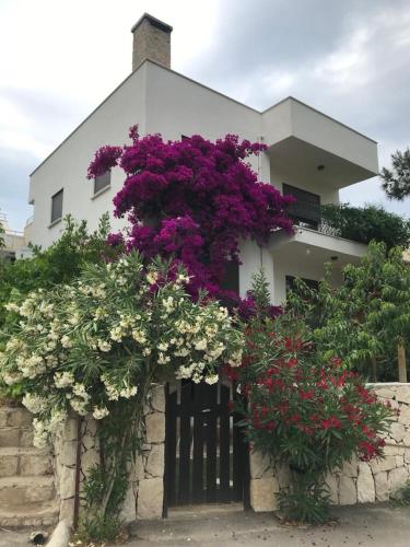Zahrada ubytování Tatil Evi KARABURUN