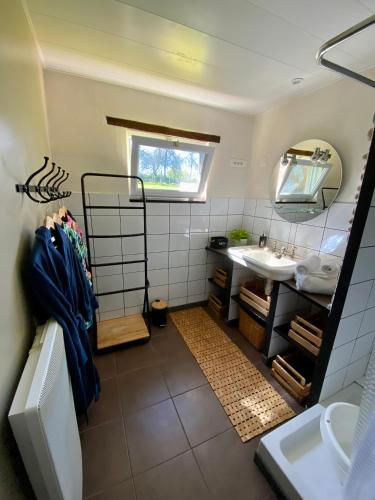 une salle de bain avec un lavabo et un miroir dans l'établissement Gite Cottage Le Giré, à Hudimesnil