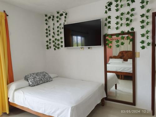 1 dormitorio con cama, espejo y TV en Casa Gacela Cozumel en Cozumel