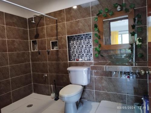 a bathroom with a toilet and a shower at Casa Gacela Cozumel in Cozumel