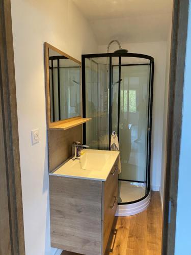 une salle de bain avec un lavabo et une douche dans l'établissement Chez Marylène, à Le Vanneau