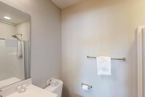 a bathroom with a toilet and a sink and a mirror at Secluded Serenity in Bumpass