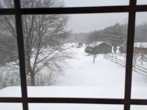 a view of a snow covered yard from a window at Ancient Oak Sanctuary Rural getaway, walking paths in Grand Junction