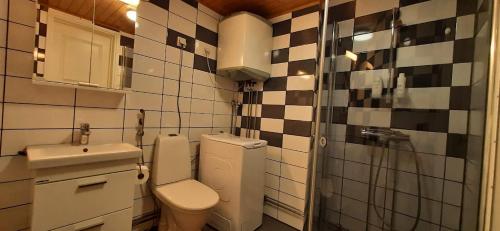 La petite salle de bains est pourvue de toilettes et d'un lavabo. dans l'établissement Pieni Talo Ämmänkivi, à Kokemäki