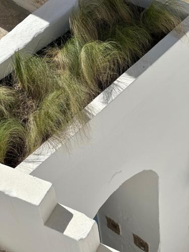 Φωτογραφία από το άλμπουμ του Riad Salentino by Acqua di Puglia σε Matino