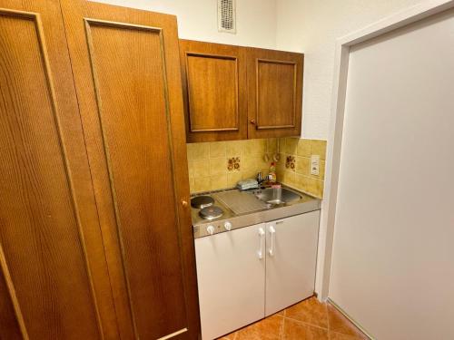 eine kleine Küche mit Holzschränken und einem Waschbecken in der Unterkunft Ferienwohnung an der Traun in Bad Aussee