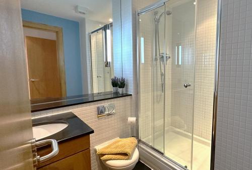 a bathroom with a shower and a toilet and a sink at No2 The Links Apartment, Brora in Brora