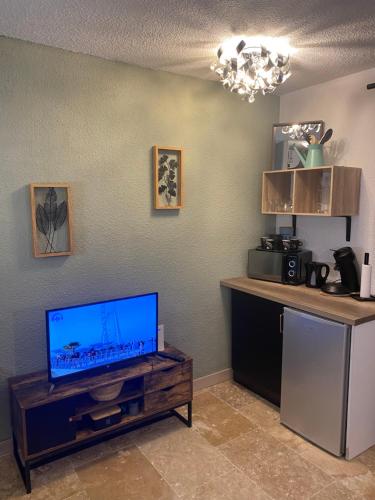 un salon avec une télévision à écran plat sur une table dans l'établissement Le Camargue, à Arles