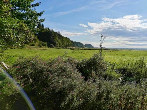 a field of grass with bushes and trees at Kongshøjgaard in Farsø