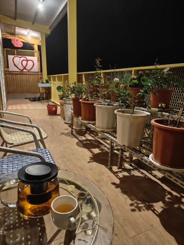 a row of potted plants on a table with cups of coffee at Xinyuanbao Shangshi Homestay in Donggang