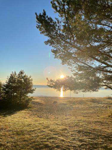 a sunset over a field with trees and the ocean at 11 Pine View in Ķesterciems