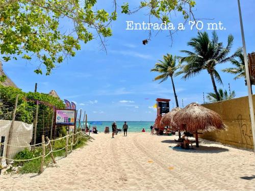 piaszczystą plażę z palmami i oceanem w obiekcie Marisol Beach w mieście Playa del Carmen