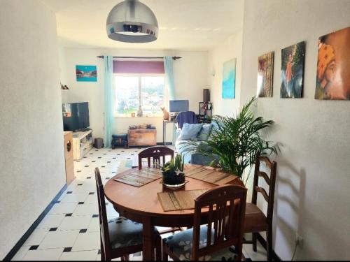 Stunning Room with private Bathroom and shared balcony, mainly with 2 adorable cats and a sweet Dog!