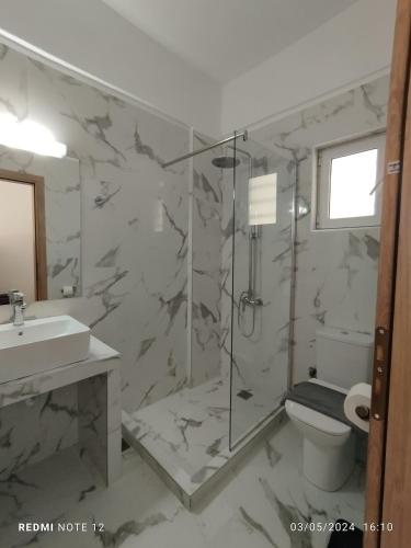 a bathroom with a shower and a toilet and a sink at Votsalo Studios & Apartment in Frangokastello