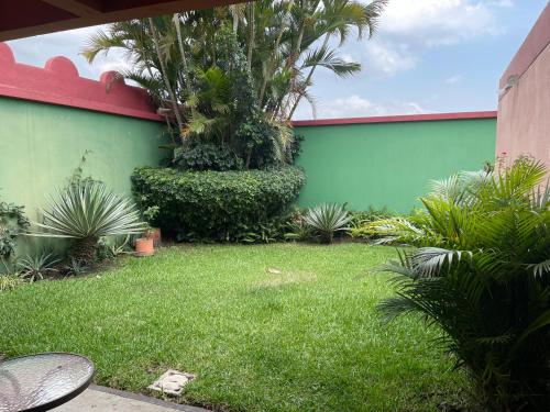 a yard with a green wall with palm trees at HOTEL IXBALANQUE in La Aurora