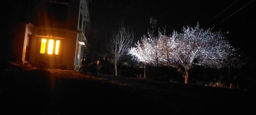 Gallery image of Horse Shoe Motel Gulmit in Chamangul
