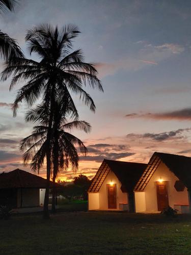 a house with a palm tree in front of a sunset at Pousada Velho Bateau in Atins