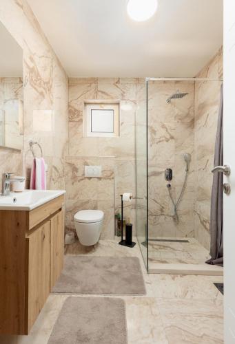 a bathroom with a shower and a toilet and a sink at Lake house Sreten in Šavnik