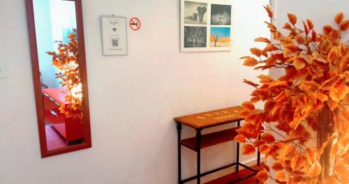 泰雷加的住宿－Habitaciones céntricas en Tàrrega，一间设有桌子、镜子和植物的房间