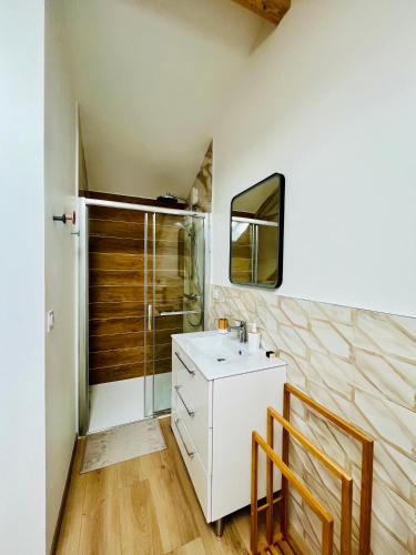 une salle de bain avec un lavabo et une douche dans l'établissement Les Gites d'Andréa - Chez Madame Yvon, à Surba