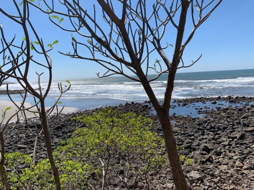 un árbol en una playa rocosa cerca del océano en La Coquera, en Jucuarán