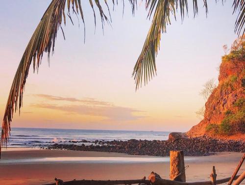 uma praia com uma palmeira e o oceano em La Coquera em Jucuarán